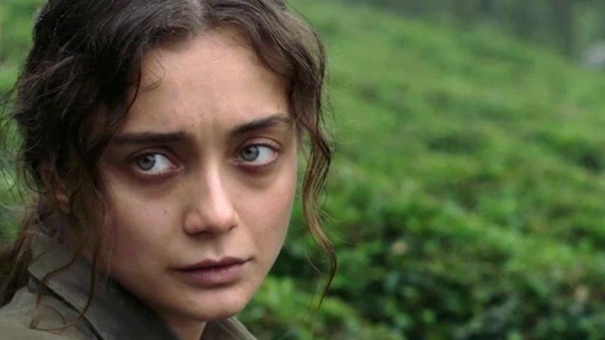 Sibel
