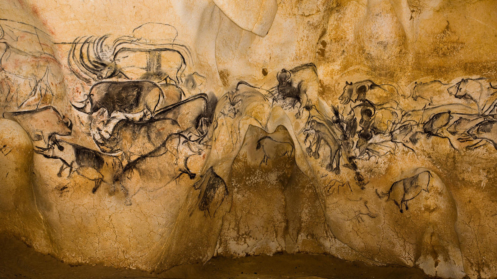 Chauvet mağarası