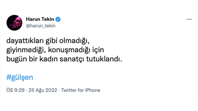 Harun Tekin: Dayattıkları gibi olmadığı,  giyinmediği, konuşmadığı için  bugün bir kadın sanatçı tutuklandı.