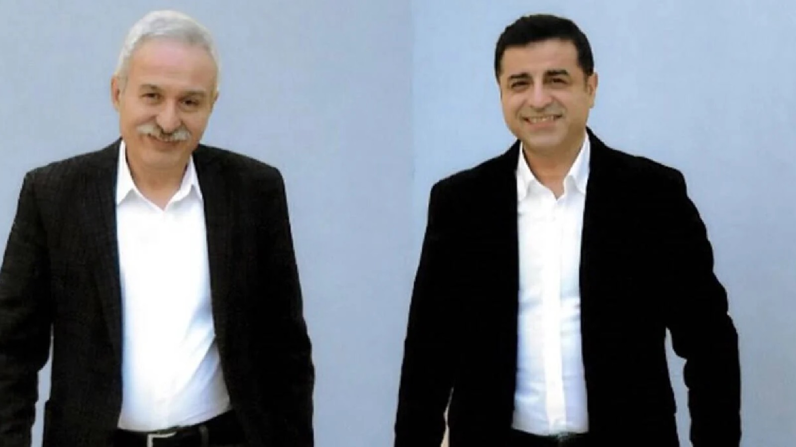 demirtaş mızraklı 