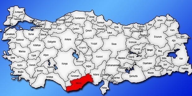 Mersin | Kadın Aday: Derya Demir (TKP) 