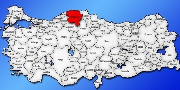 Kastamonu | Kadın Aday: Ayten Urganioğlu (Memleket Partisi) 