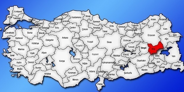Muş | Kadın Adaylar: Hatice Kara (HKP) Arjin Avcı (TKH) 