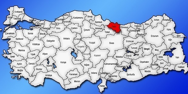 Ordu | Kadın Adaylar: Damla Baytekin (TKP) Sevinç Başaran (Zafer Partisi) Alev Doğan (TKH) Sevda Kokum (HAK-PAR) 