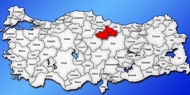 Tokat | Kadın Adaylar: Gülce Vidinli (DEM Parti) Burcu Adeka Kalkan (HKP) Fatma Mumcuoğlu (BTP) 