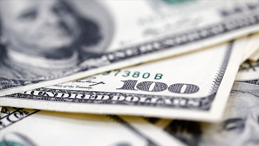 Sektörde beyaz dolar olarak bilinen eski basım 100 dolar ile yeni basım 50 dolarların orijinale çok yakın sahteleri piyasada.  Türkiye genelinde bankalar ve döviz büfeleri bu iki doları güvenlik ve tedbir amaçlı kabul etmiyor ve bozmuyorlar!