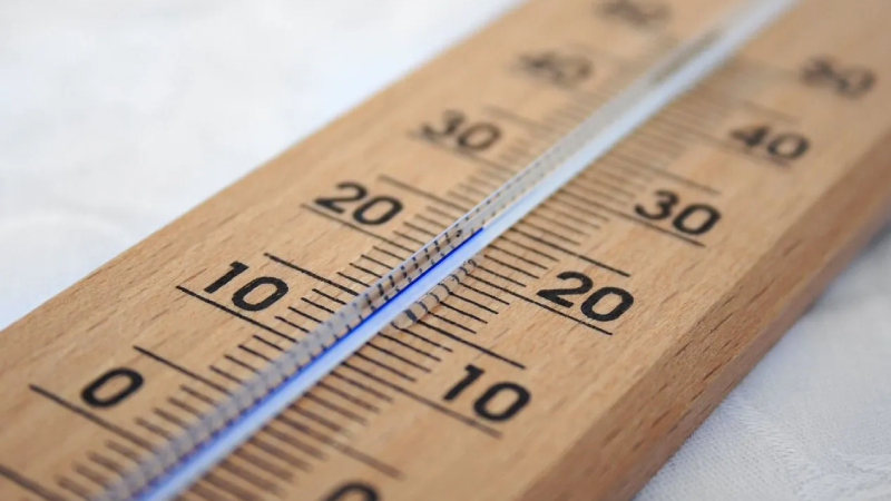Meteoroloji Genel Müdürlüğü tarafından yapılan tahminlere göre, ülke genelinin parçalı ve çok bulutlu, Marmara’nın doğusu, Orta ve Doğu Akdeniz, İç Anadolu, Batı ve Orta Karadeniz, Doğu Anadolu’nun batısı, Güneydoğu Anadolu ile Tekirdağ, Kırklareli, Kütahya, Giresun, Erzurum, Muş, Bitlis, Karaman çevreleri ve Rize'nin iç kesimlerinin yağışlı geçeceği tahmin ediliyor. Yağışların Akdeniz kıyıları, Orta Karadeniz kıyıları ile Giresun çevrelerinde yağmur, yağış alan diğer yerlerde karla karışık yağmur ve kar şeklinde olması tahmin ediliyor. Yağışların, İstanbul’un kuzeybatısı, Kırklareli’nin doğusu ve Tekirdağ’ın kuzeydoğusunda yerel olarak kuvvetli olması bekleniyor. Rüzgarın; Marmara ile Kıyı Ege’de kuzeyli yönlerden kuvvetli olarak (40-60 km/saat) esmesi bekleniyor. Sabah ve gece saatlerinde iç ve doğu kesimlerde buzlanma ve don ile birlikte pus ve yer yer sis bekleniyor. Doğu Karadeniz’in iç kesimlerinin yüksekleri ile Doğu Anadolu’nun yüksek ve dik yamaçlarında çığ tehlikesi bulunmaktadır.
