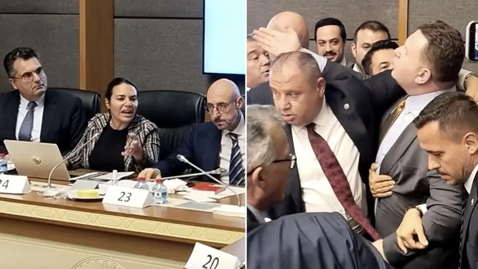 Türkeş bülbül