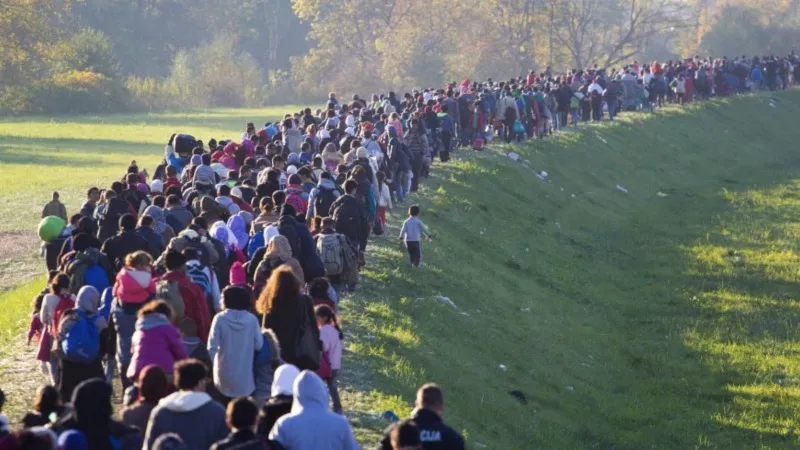 Entegrasyon yoksa, bu kadar yıldır ne oluyor?