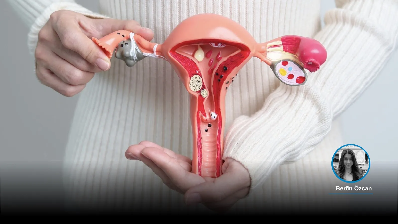 berfin HPV