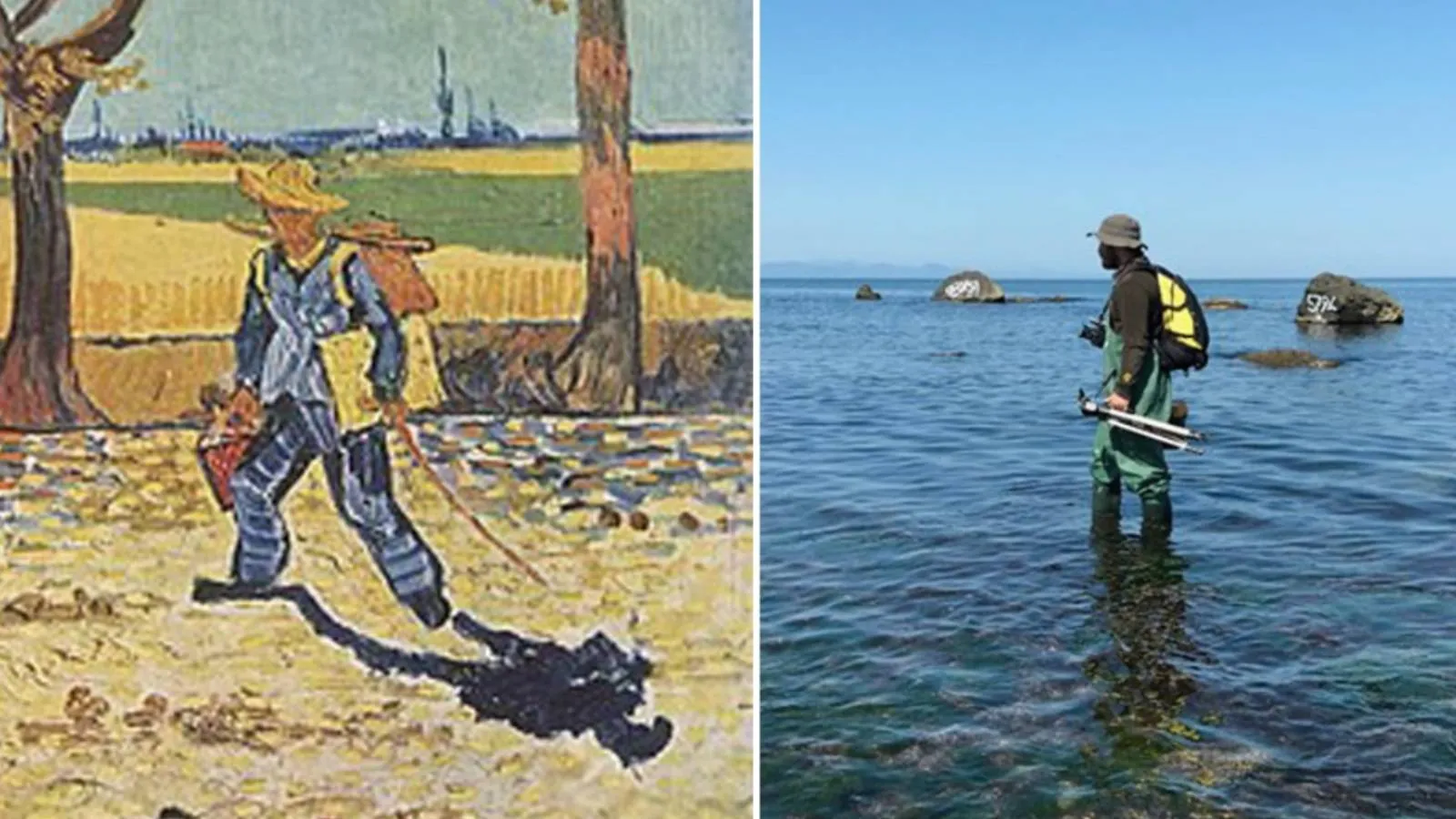 Ortam odaklı sanat üzerine 6: Araziden ekolojiye olay yeri