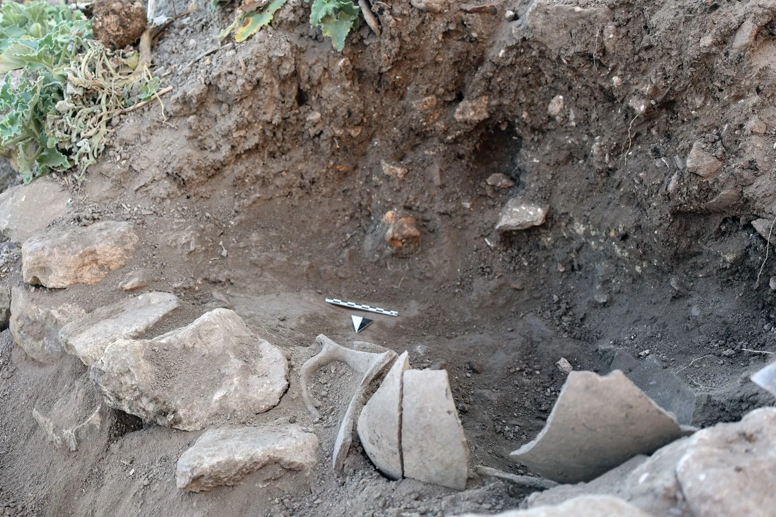 <p>Lidyalıların yemeklerini kerpi&ccedil; fırınlarda pişirdiğini belirten Kirman, bulunan malzemelerin mutfağın &uuml;st sınıftan kişiler tarafından kullanıldığına işaret ettiğini ifade etti. Kazılar, d&ouml;nemin beslenme ve gıda saklama alışkanlıklarına ilişkin yeni bilgiler sunuyor.</p>