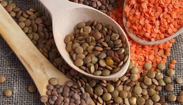 <p>Mercimek, kuru fasulye, nohut: Bitkisel protein, lif ve B vitamini i&ccedil;eren baklagiller, hem ekonomik hem de besleyici alternatifler arasında yer alıyor.</p>