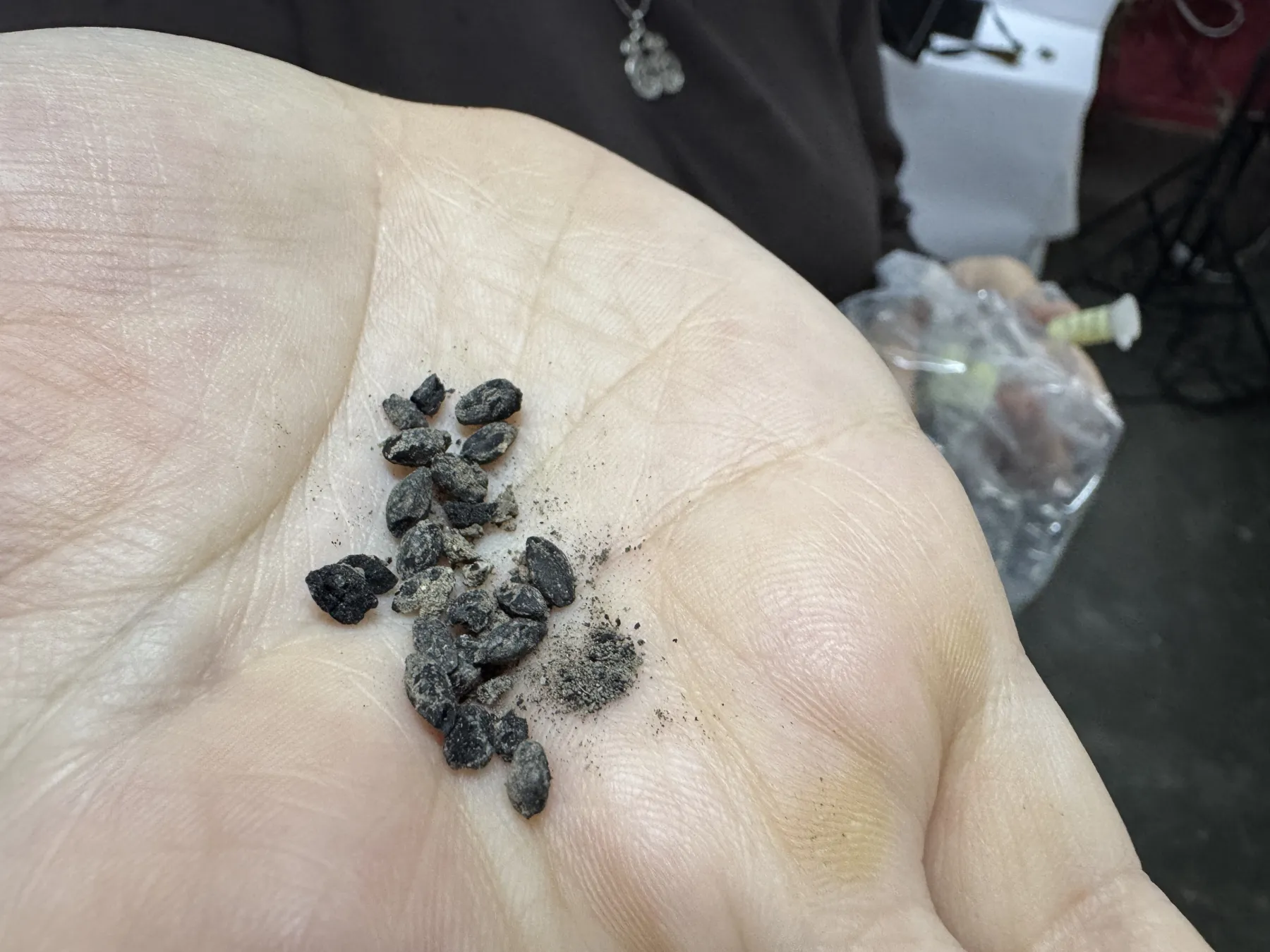 <p data-pm-slice="1 1 []">Fırında siyez, gernik, buğday, arpa, nohut, mercimek, bakla ve &uuml;z&uuml;m gibi &uuml;r&uuml;nlerin karbonlaşmış tohumlarına rastlandı. Kazılarda balık ve kuş kemikleri de bulundu.</p>